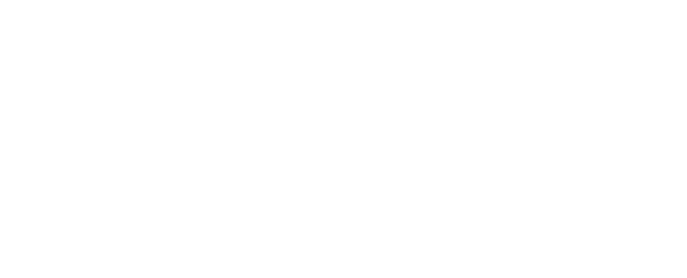 Visa logo